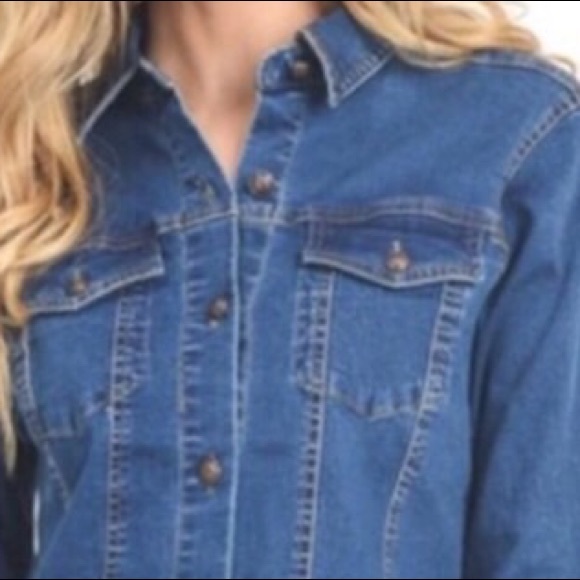 BLUE DENIM PRINCESS LINE BUTTON UP DRESS - Picture 6 of 7